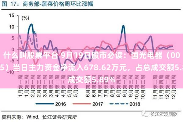 什么叫股票平台 9月19日股市必读：国光电器（002045）当日主力资金净流入678.62万元，占总成交额5.89%