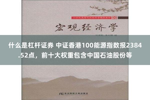 什么是杠杆证券 中证香港100能源指数报2384.52点，前十大权重包含中国石油股份等