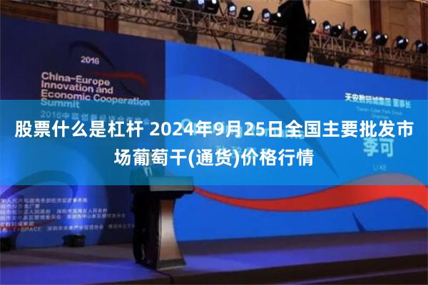 股票什么是杠杆 2024年9月25日全国主要批发市场葡萄干(通货)价格行情