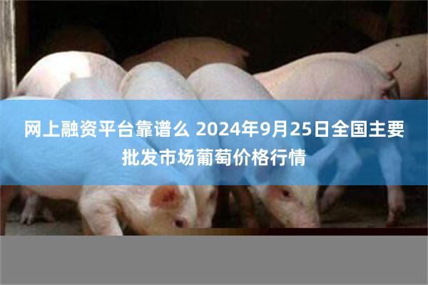 网上融资平台靠谱么 2024年9月25日全国主要批发市场葡萄价格行情