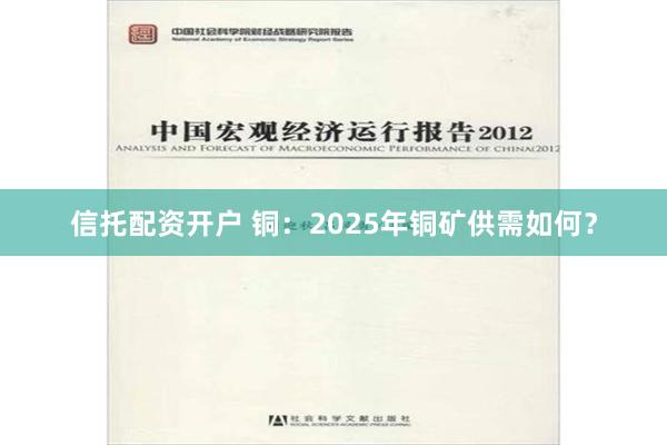 信托配资开户 铜：2025年铜矿供需如何？