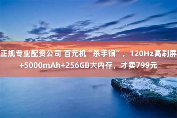 正规专业配资公司 百元机“杀手锏”，120Hz高刷屏+5000mAh+256GB大内存，才卖799元