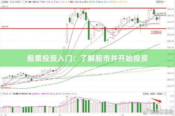 股票投资入门：了解股市并开始投资