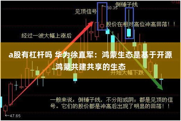 a股有杠杆吗 华为徐直军：鸿蒙生态是基于开源鸿蒙共建共享的生态