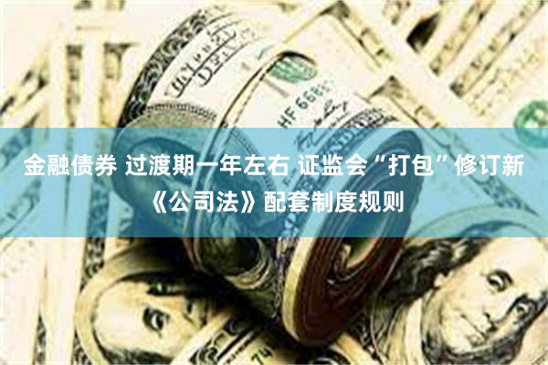 金融债券 过渡期一年左右 证监会“打包”修订新《公司法》配套制度规则