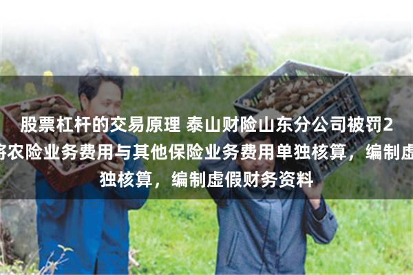 股票杠杆的交易原理 泰山财险山东分公司被罚23万元：未将农险业务费用与其他保险业务费用单独核算，编制虚假财务资料