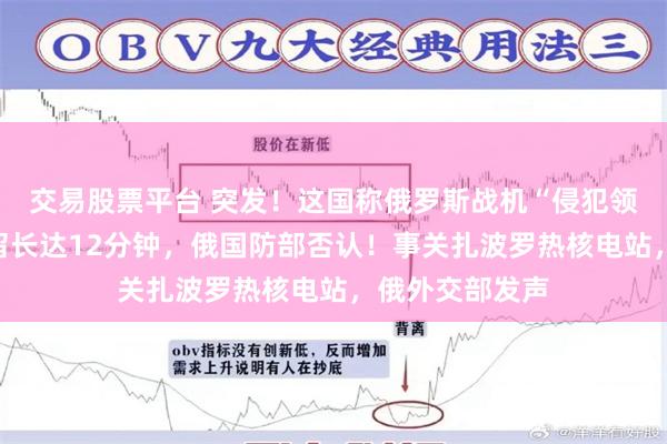 交易股票平台 突发！这国称俄罗斯战机“侵犯领空”，战机停留长达12分钟，俄国防部否认！事关扎波罗热核电站，俄外交部发声