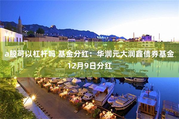 a股可以杠杆吗 基金分红：华润元大润鑫债券基金12月9日分红