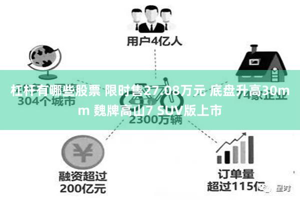 杠杆有哪些股票 限时售27.08万元 底盘升高30mm 魏牌高山7 SUV版上市