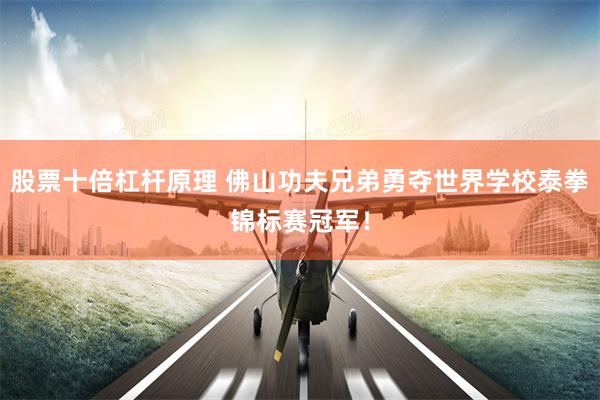 股票十倍杠杆原理 佛山功夫兄弟勇夺世界学校泰拳锦标赛冠军！