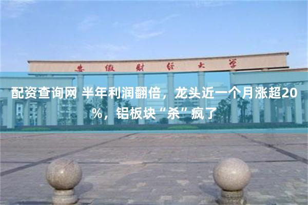 配资查询网 半年利润翻倍，龙头近一个月涨超20%，铝板块“杀”疯了