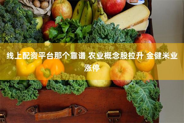 线上配资平台那个靠谱 农业概念股拉升 金健米业涨停