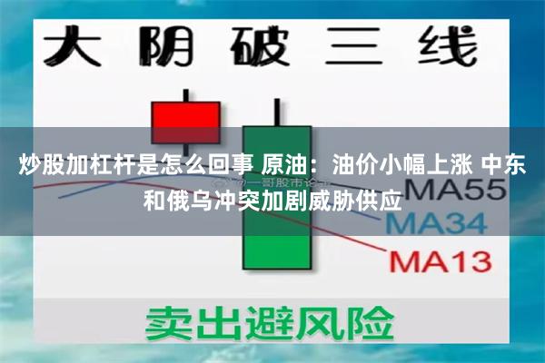 炒股加杠杆是怎么回事 原油：油价小幅上涨 中东和俄乌冲突加剧威胁供应
